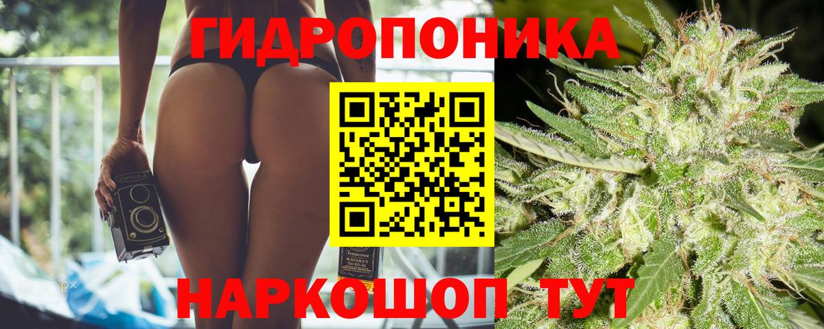 Бошки марихуана сатива Азов